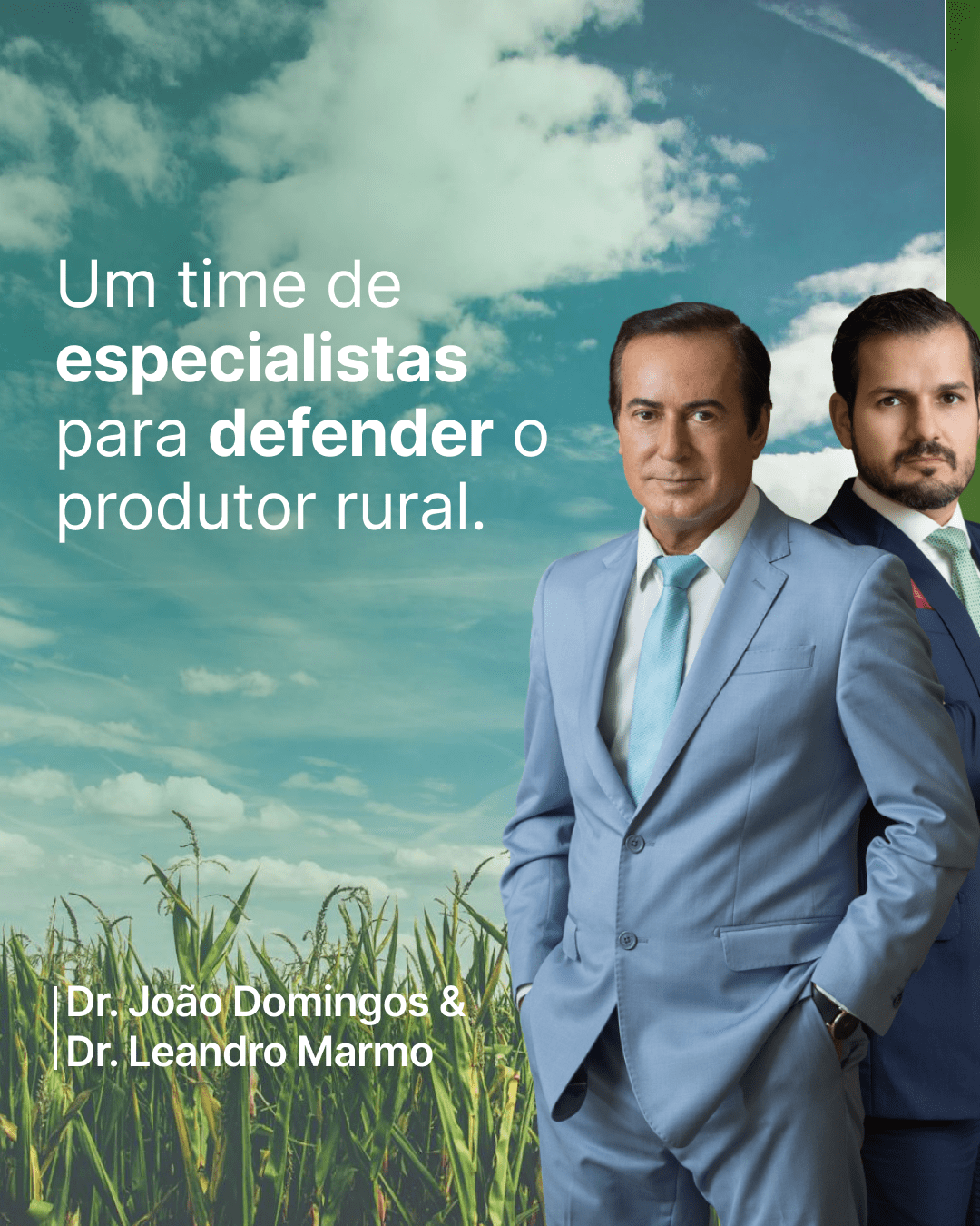 Serviços João Domingos 01