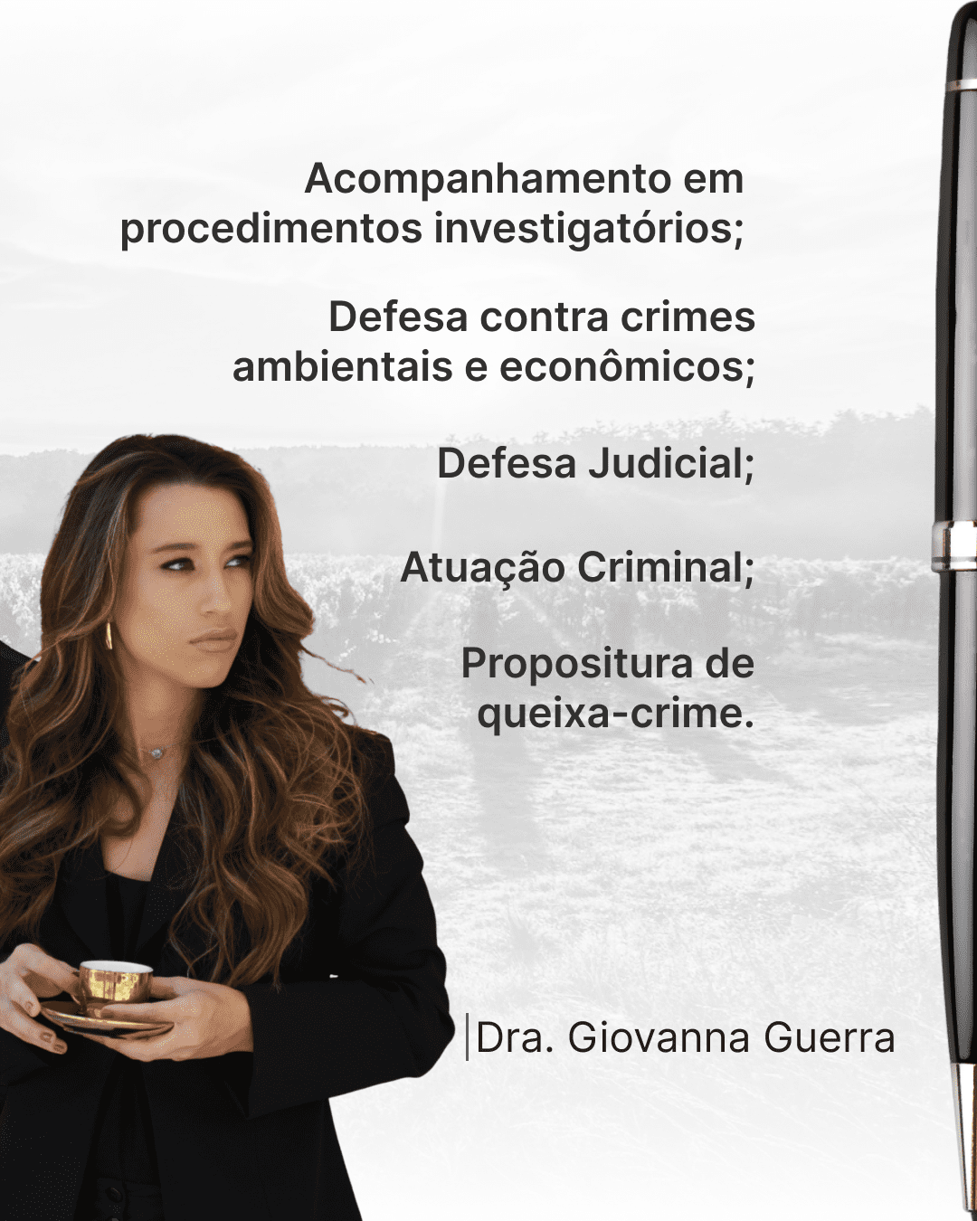 Serviços João Domingos 05